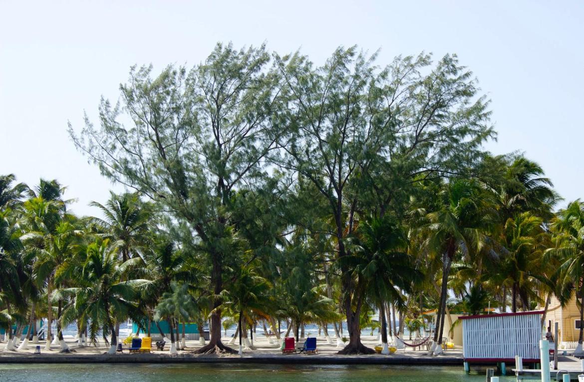 Blue Marlin Beach Resort Dangriga Exterior photo